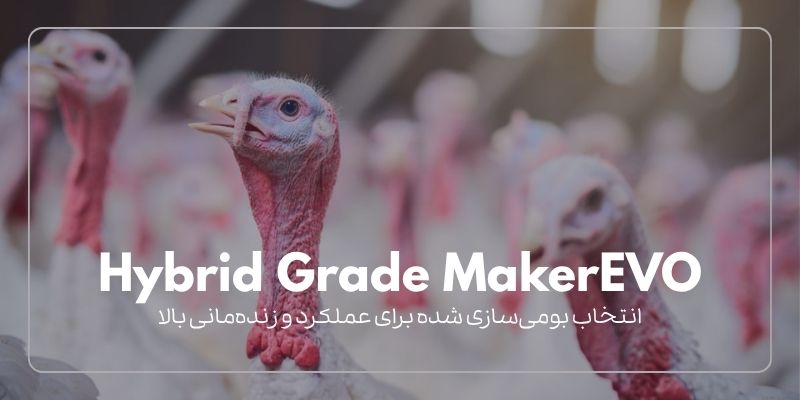 سویه Hybrid Grade MakerEVO