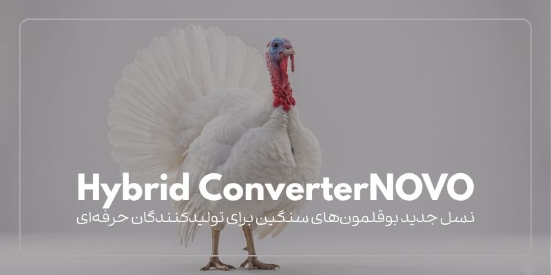 سویه Hybrid ConverterNOVO