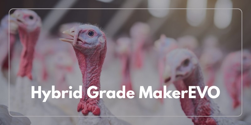 Hybrid Grade MakerEVO