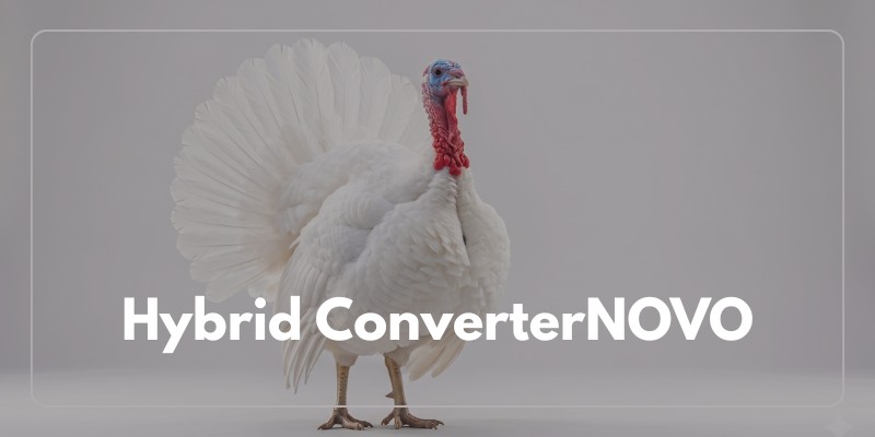 Hybrid ConverterNOVO